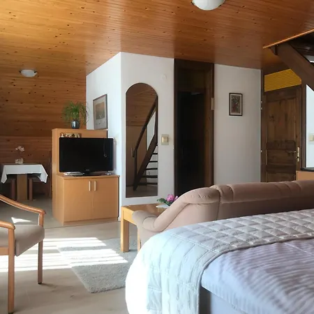 Appartement Janjusevic *