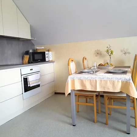 Appartement Janjusevic *