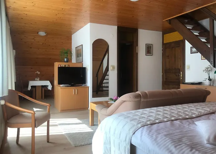 アパート Janjusevic *