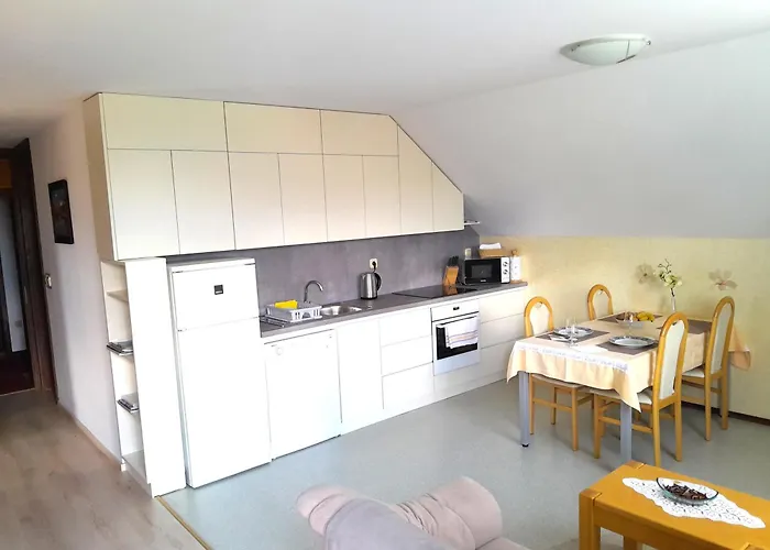 Janjusevic アパート *