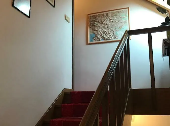 Janjusevic * ブレッド